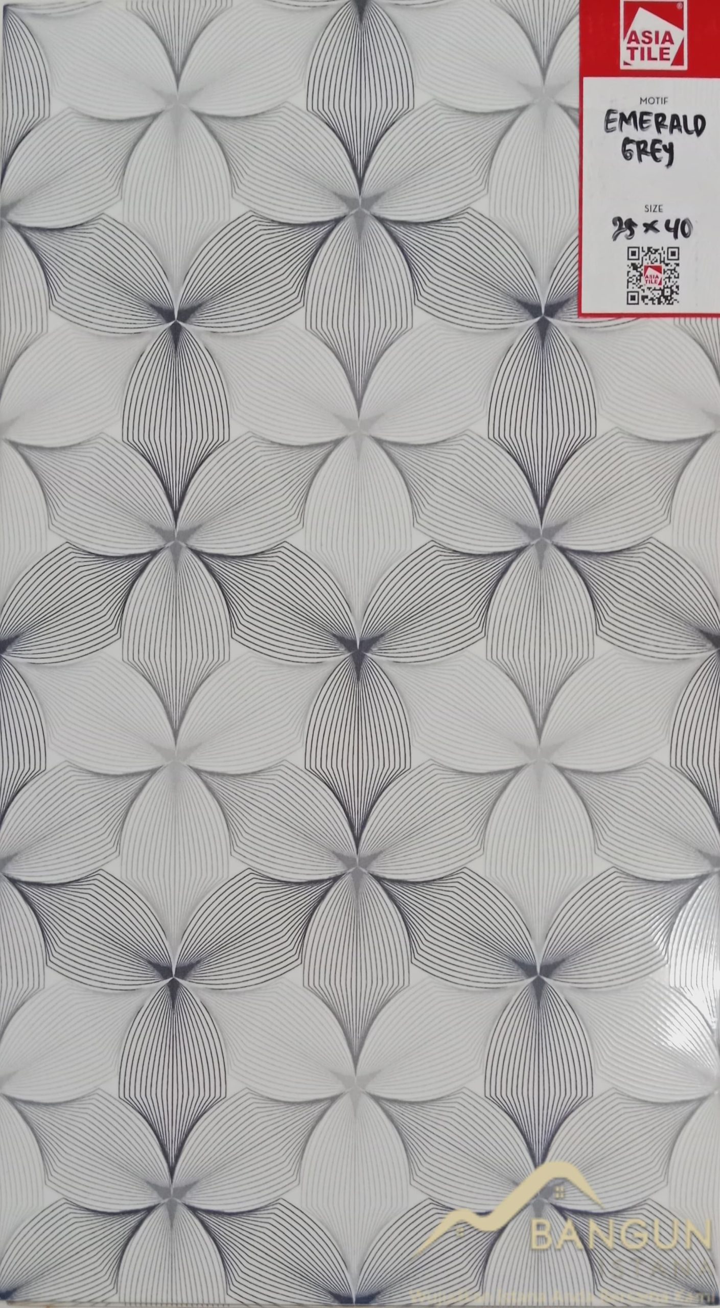 ASIA TILE 25X40 EMERALD GREY